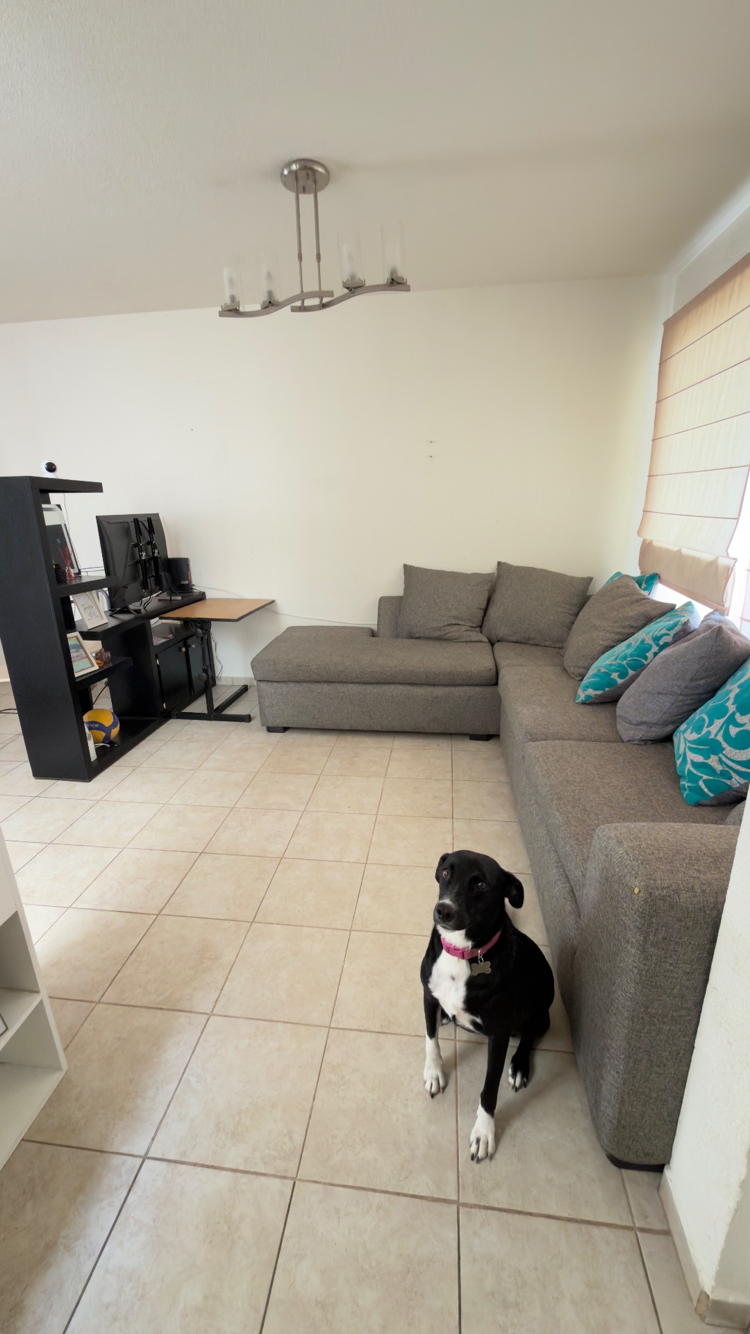 Cuarto solo para mujeres con servicios incluidos — foto 2 de 10